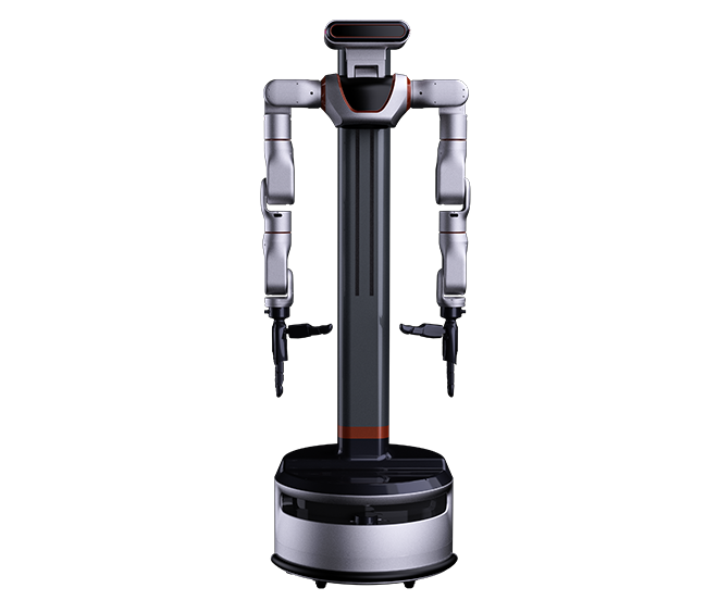 Humanoid robot