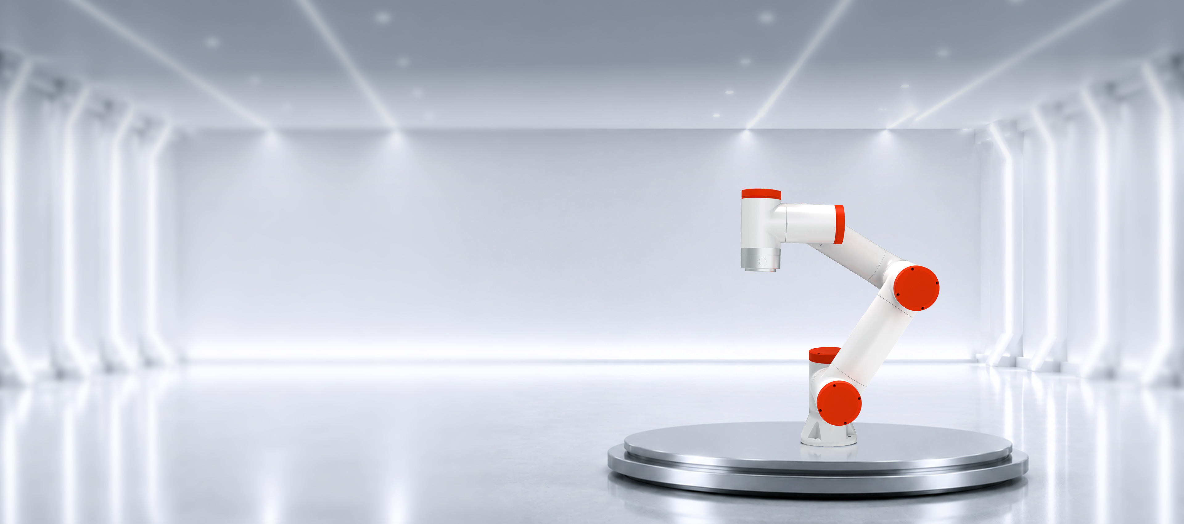 Z-Arm S622