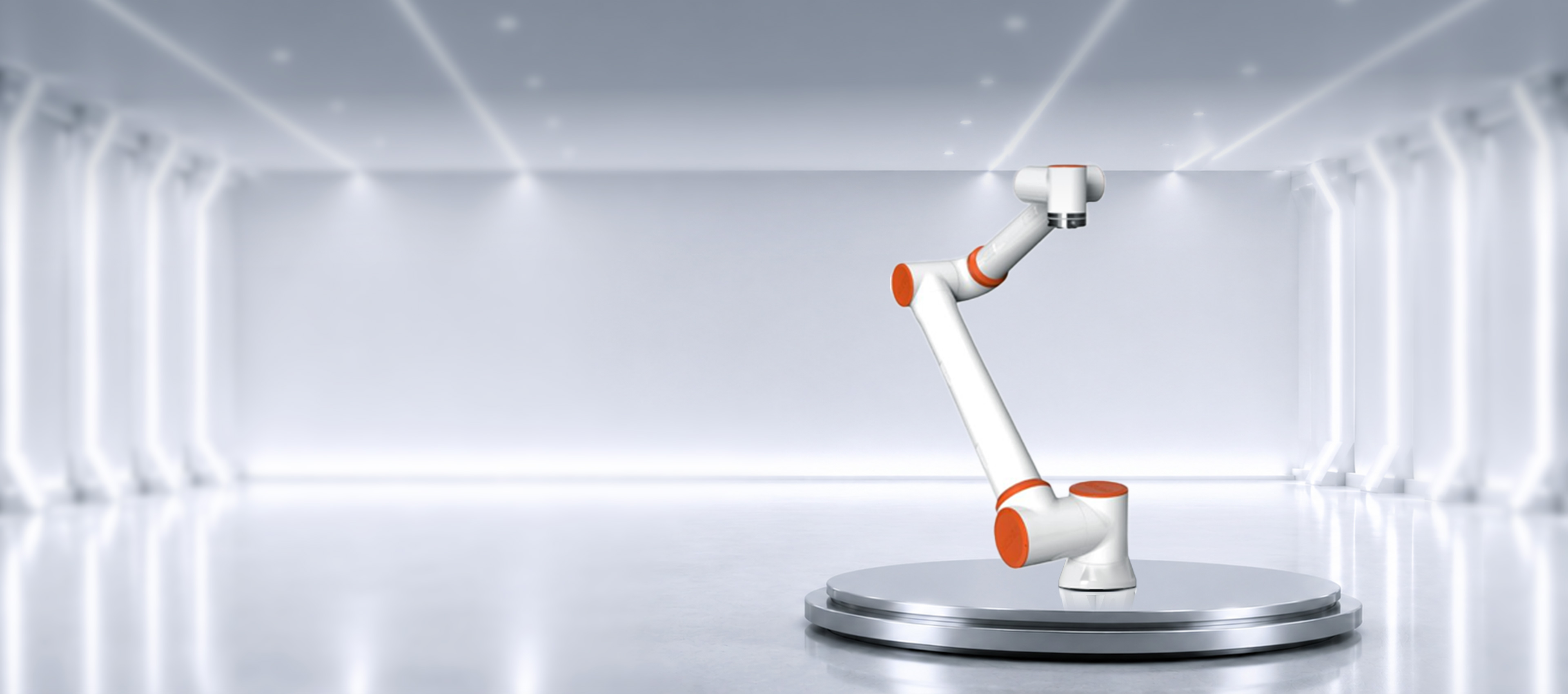 Z-Arm S1854