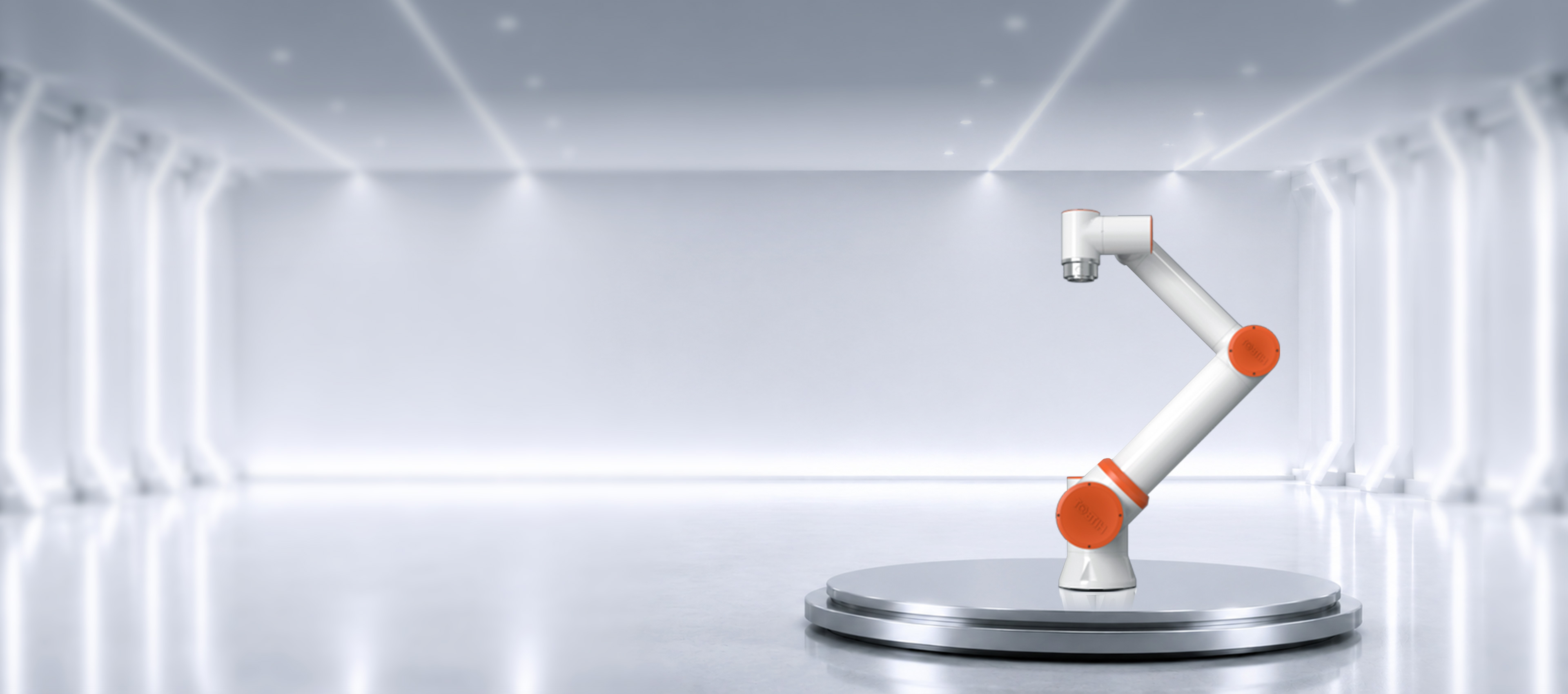 Z-Arm S1034